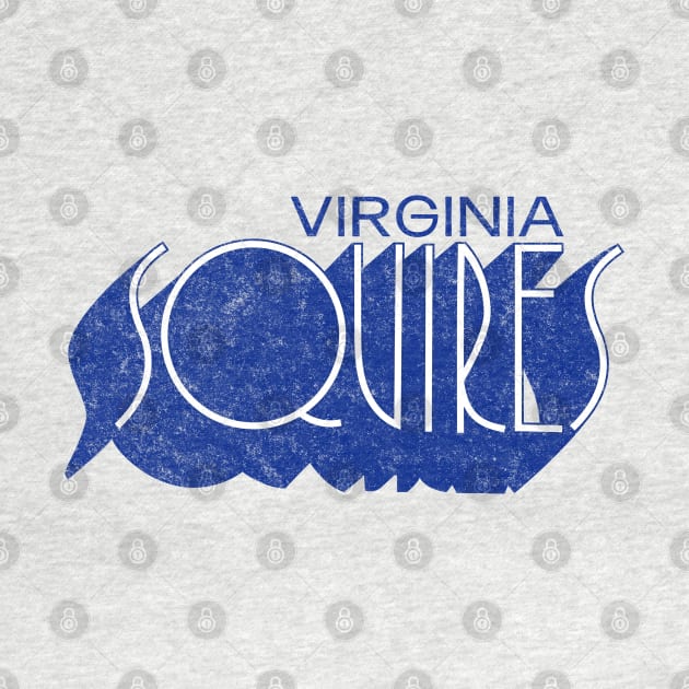 Defunct Virginia Squires ABA Basketball by LocalZonly
